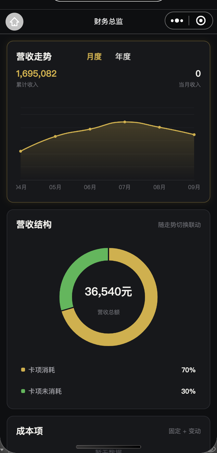 财务报表界面